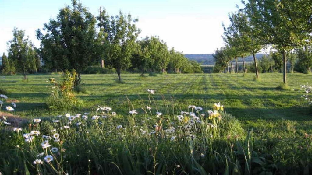 Le Mont D'Auge Bed and Breakfast Canapville  Eksteriør billede