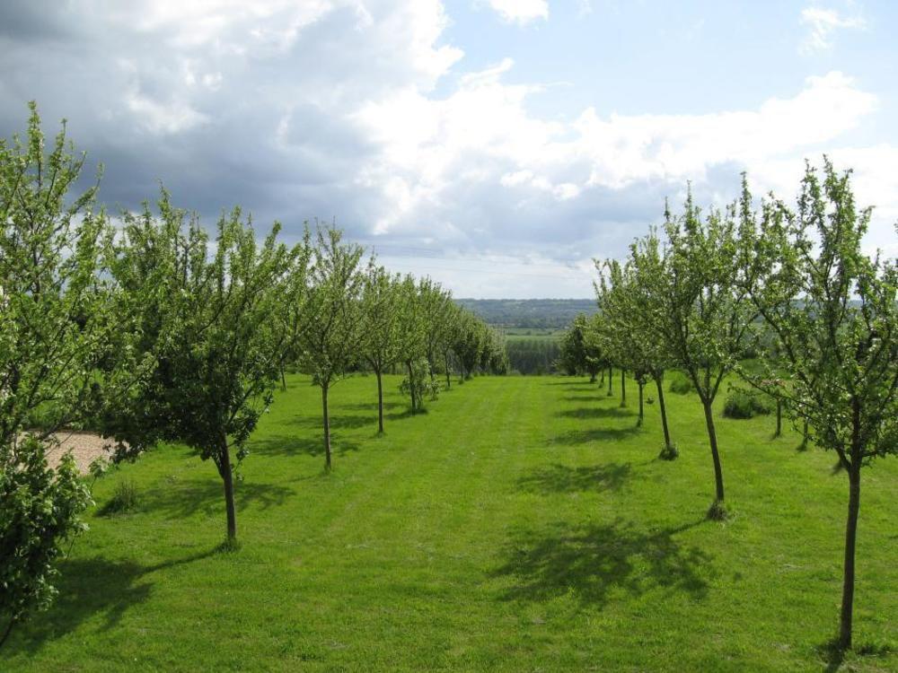 Le Mont D'Auge Bed and Breakfast Canapville  Eksteriør billede