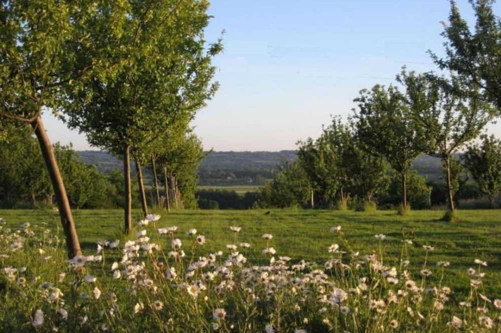 Le Mont D'Auge Bed and Breakfast Canapville  Eksteriør billede