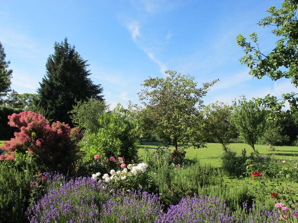 Le Mont D'Auge Bed and Breakfast Canapville  Eksteriør billede